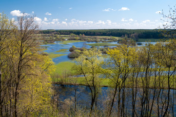 Fototapeta premium Spring flood.
