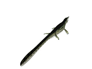 3d render of a crocodile inside a white stage