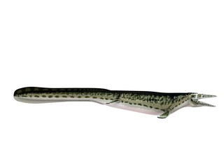 3d render of a crocodile inside a white stage