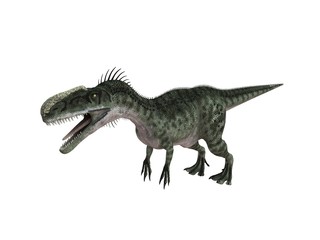 3d render of a Dinosaur inside a white stage