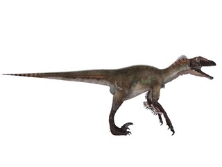 Obraz na płótnie Canvas 3d render of a Dinosaur inside a white stage