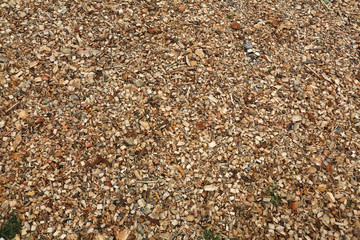 Wood Sawdust Texture