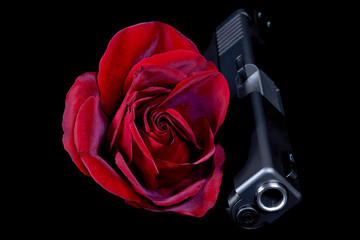 A Red Rose and Automatic Pistol Isolated on Black