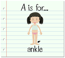 Flashcard letter A is for ankle