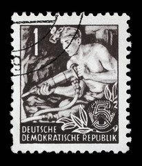 Stamp printed in GDR (German Democratic Republic - East Germany) shows a Hauer without the...