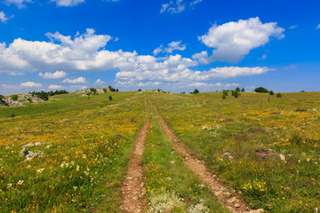 rut road on meadow