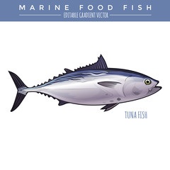 Tuna. Marine Food Fish