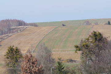 ławka nad stawem © klumb