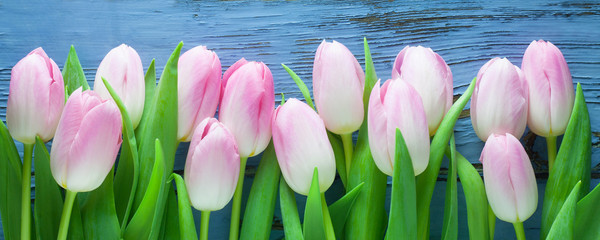 Pink Tulips - obrazy, fototapety, plakaty