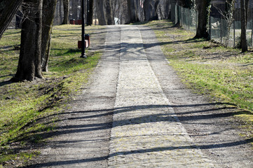 Spacer po parku w słoneczny dzień, Zwierzyniec Roztocze, © klumb