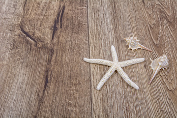 Fototapeta na wymiar Starfish and shells on a wooden background