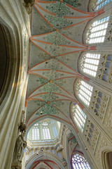 Obraz premium St. Johannes Kathedrale-Den Bosch