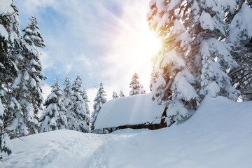 Beautiful winter snow covered trees and small hut in snowfall da