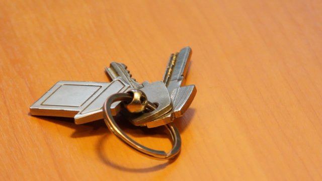 keys with a keychain in the shape of a small house