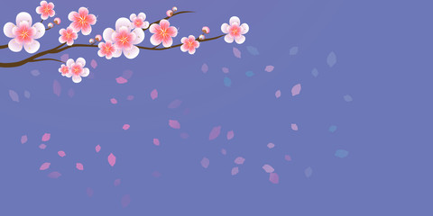 Branch of sakura with flowers. Cherry blossom branch with petals