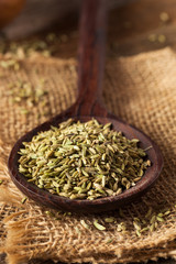 raw organic fennel Seed