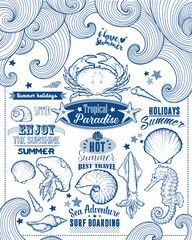 Set of Summer Element. Calligraphic Label, Seashell, Flower. Hand Drawn Style. Typographic Design for Logo or Label. Summer Holiday. Tropical Paradise, Best Tour, Beach Party, Bon Voyage