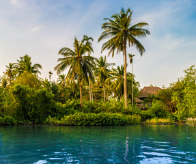 Obraz premium Palm trees on sea shore at beautiful sunny day. Image of tropical vacation and sunny happiness. Serene summer photo.