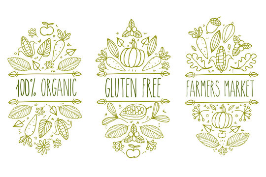 Organic food, gluten free, farmer market menu logo. Hand drawn vector sketch typographic element. Nature product label. Leaf, corn, carrot, cacao, cocoa, apple, pumpkin, floral, acorn.