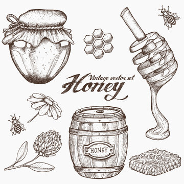 Honey jar, barrel, spoon, bee, honeycomb, chamomile, clover, vintage vector set. Engraved organic food hand drawn sketch illustration.