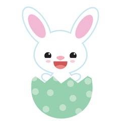 Bunny vector illustration
