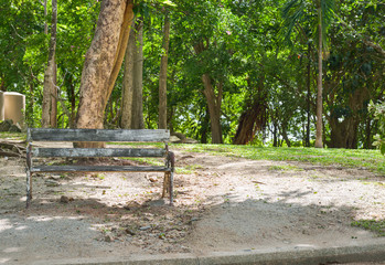bench is in a morning green park