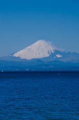 Mt. Fuji and Sagami Bay (horizontal position )