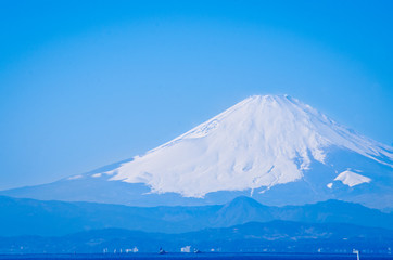 Blue Fuji