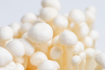 Fototapeta na wymiar Enoki mushroom, Golden needle mushroom
