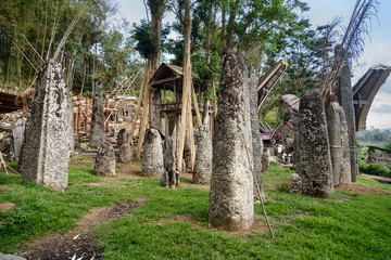 Ceremony site with megaliths. Bori Kalimbuang. Tana Toraja. Indonesia © Elena Odareeva
