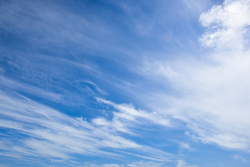 Fototapeta premium beautiful cloud flowing in the blue sky