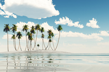Obraz premium calm tropic sea