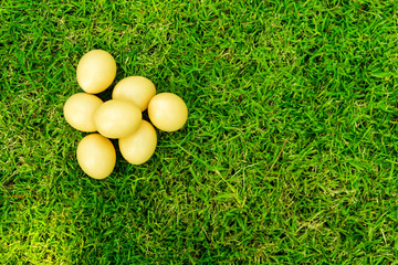eggs on green grass