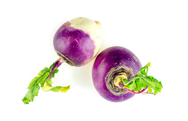 Studio isolated shot of white turnips with purple tops