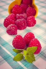 Vintage photo, Fresh raspberries and lemon balm on checkered tablecloth, healthy food