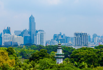 Bangkok city view