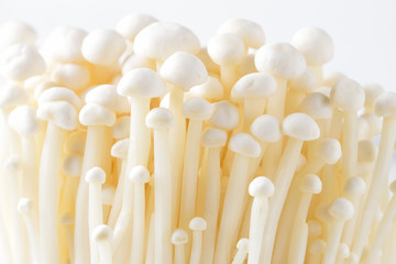 Enoki mushroom, Golden needle mushroom