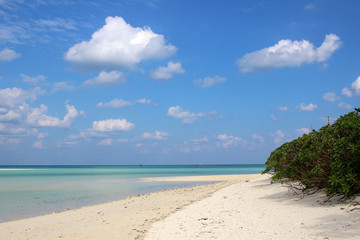 竹富島のビーチ