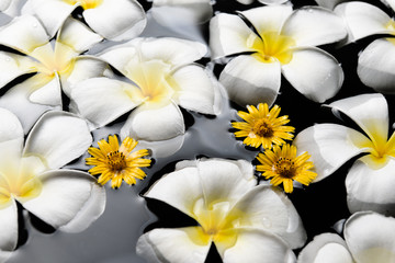 Spa , wellness  & aromatherapy concept,beautiful flowers in the