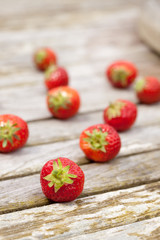 Fresh strawberries on a wooden garden table. Focus on the front strawberry with the rest out of focus.