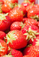Bright red ripe fresh strawberries in the sunshine