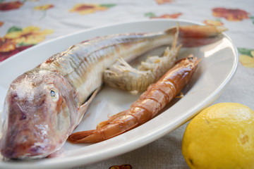 tub gurnard squill fish and king prawns