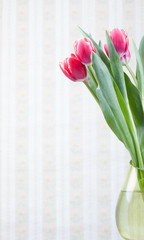 Tulip flowers in vase over vintage background. space for text