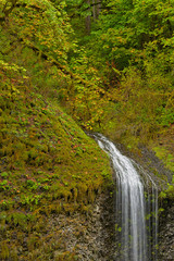 Unknown waterfall in Silver Falls State Park