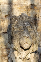 Fototapeta na wymiar Scultura di leone
