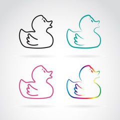 Vector image of duckling design on white  background