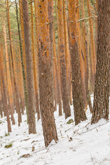 Fototapeta premium Snowy landscape of mountains port of Morcuera in Madrid, Spain