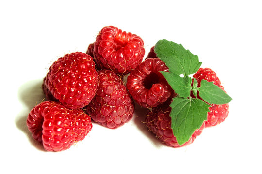 Raspberry and Mint on the white background