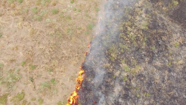 Agricultural Field In Fire