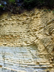 Cliff face showing flysch layer strata